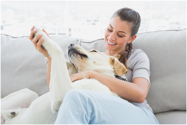 Making Your Home Electricals Pet-Safe